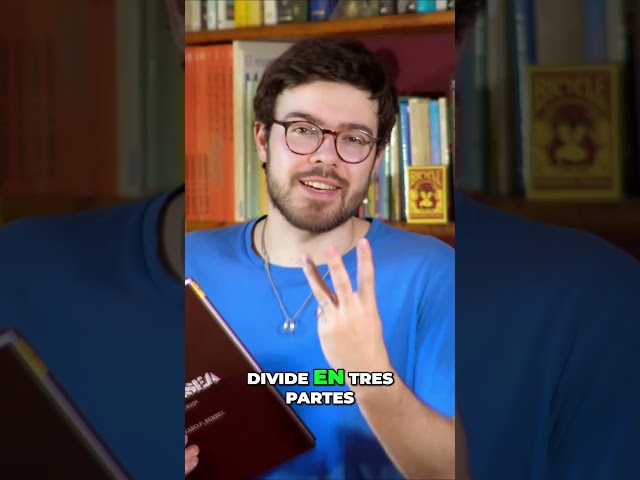 Vídeo relacionado con A veces comprendemos algo