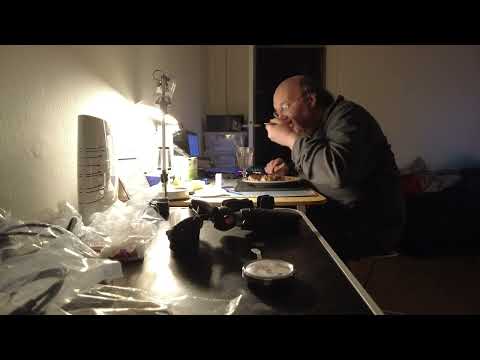 MongoTV_8209 - Min Aftensmad - DANISH MUKBANG - Del 1 - HAKKEBØFFER Med RIS og BRUN SOVS