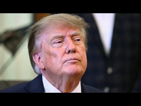 'You ain't Oprah!': Dem Senator slams Trump's $5K promise amid GOP push to stir midterm chaos