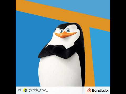 skipper's beatbox instrumental