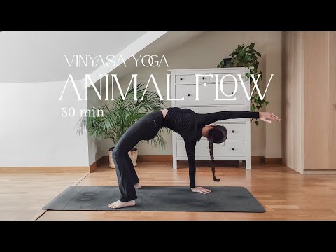 30 min Vinyasa Yoga estilo Animal Flow | Movilidad, Fuerza y Coordinación
