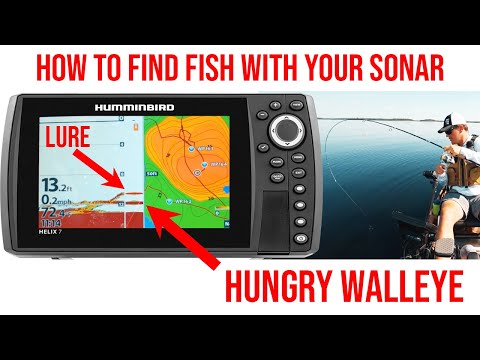 How To Use Your Sonar To Find Walleye (Humminbird Helix)