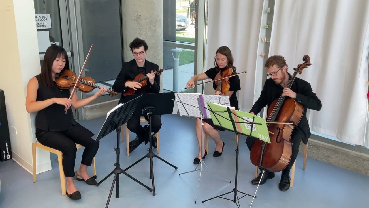 Promotional video thumbnail 7 for Windy City Strings