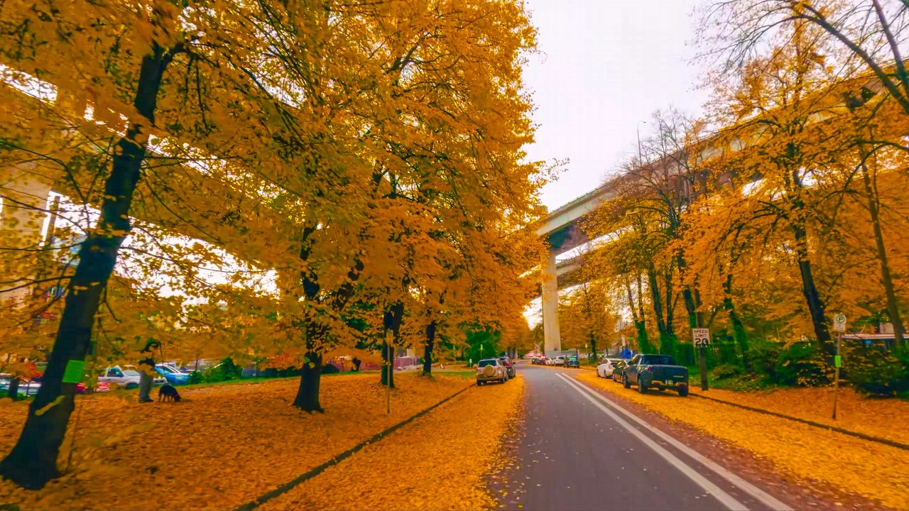Autumn Streets of Portland in 8K 360° VR - Immersive Downtown Drive with Real City Sounds