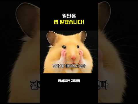 감각적으로 말하고 일해요