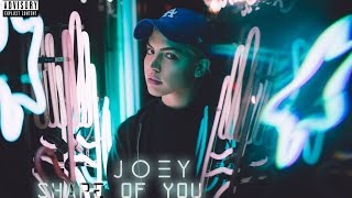 Shape Of You - Ed Sheeran (JOEY DJIA Cover)