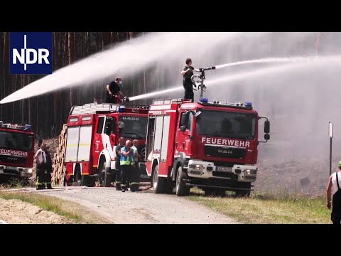 Waldbrand außer Kontrolle | die nordreportage | NDR
