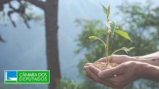  Discussão e votação de propostas legislativas - 10/12/2025 10:00
