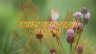 Download lagu LAGU MINANG LUKO BADARAH ULANG - Pinki Prananda feat eno viola ( lirik Vidio ) mp3