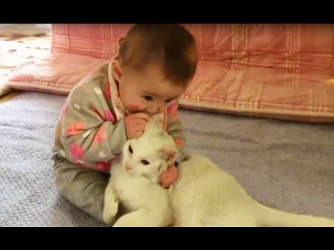 White Cat and Baby  猫ちゃんと赤ちゃんはお友達☆