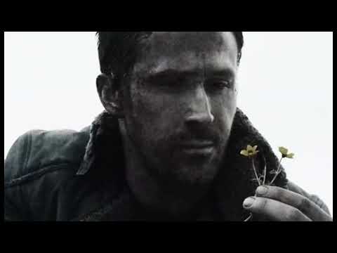 You Liked Her i Could Tell.Its Okay, She's real