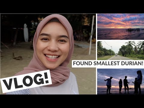 VLOG | FOUND SMALLEST DURIAN ON THE BEACH!