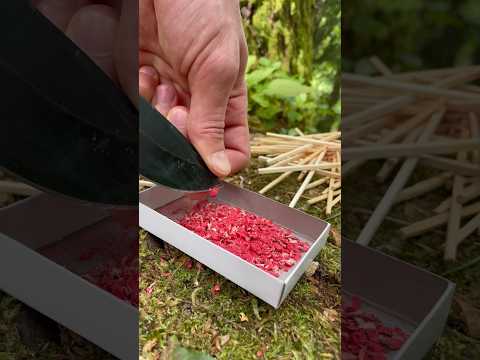 Bomb from matches 💣 #asmr #bushcraft #survival #forest #camping #skills #experiment #bomb