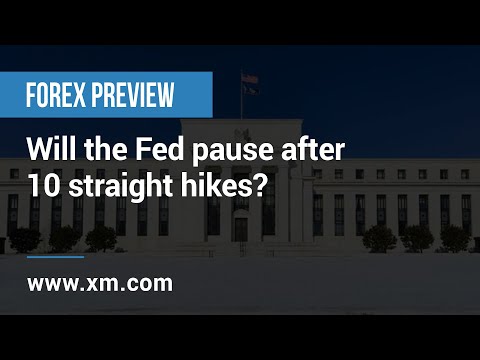 Forex Preview: 12/06/2023 - Will the Fed pause after 10 straight hikes?