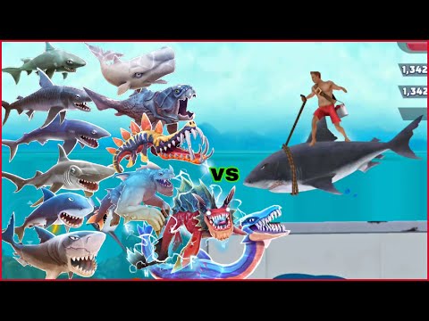 Hungry Shark Evolution - King Of Summer Vs All Sharks 🦈
