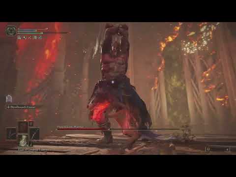 Godfrey, First Elden Lord / Hoarah Loux - Bloodhound’s Fang build (No Damage)