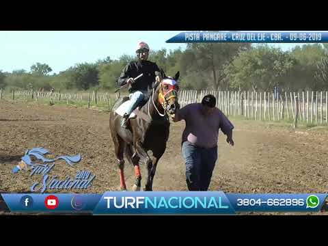 JAMAL (polla de potrillos) - Pista Pangare - 9/6/2019