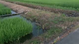 富山県とかいう最高に良いところ