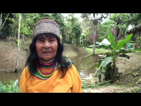 Ikaro by Maestra Olivia