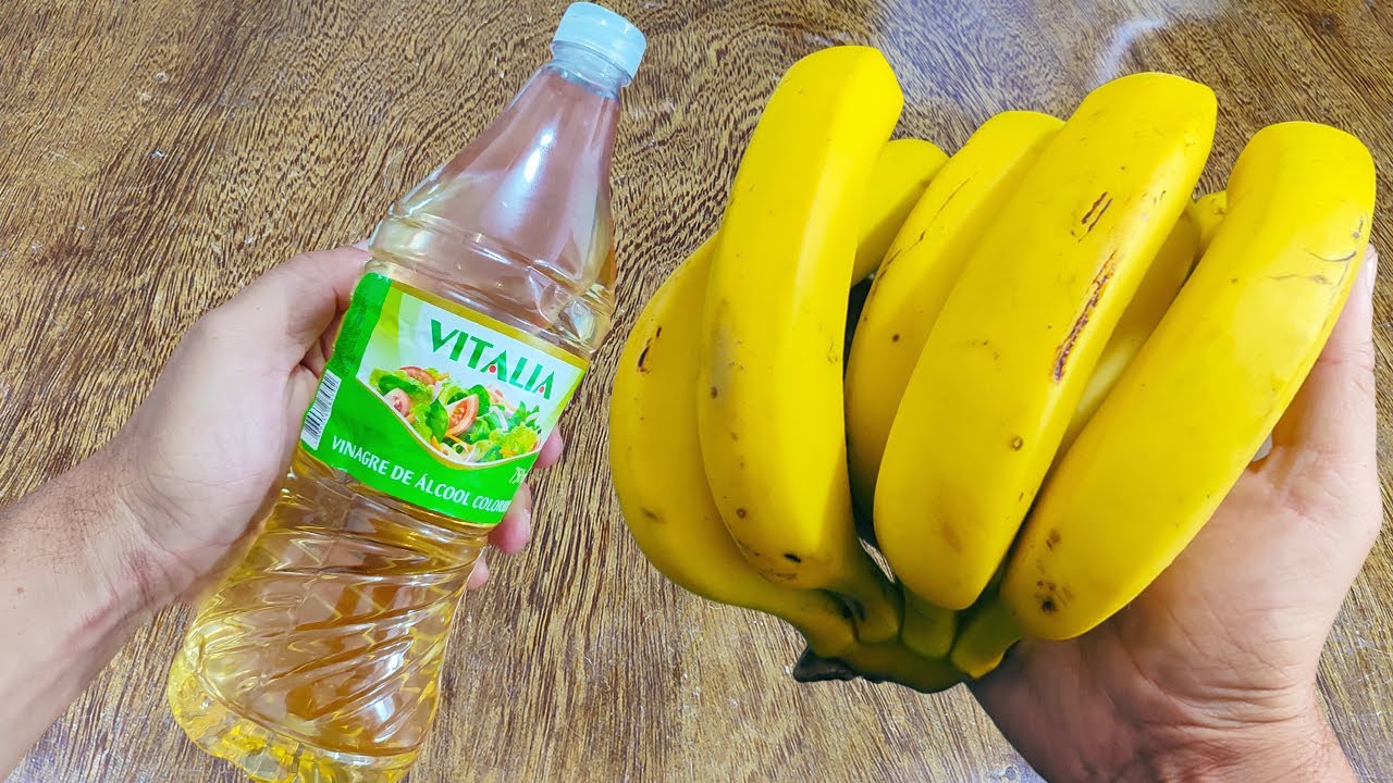 I would die and I wouldn't know: Just use vinegar with banana and I won't spend my money on market