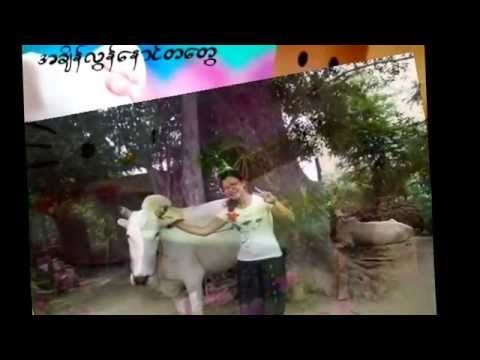 ညီမင္းခုိင္-ႏြယ္နီ