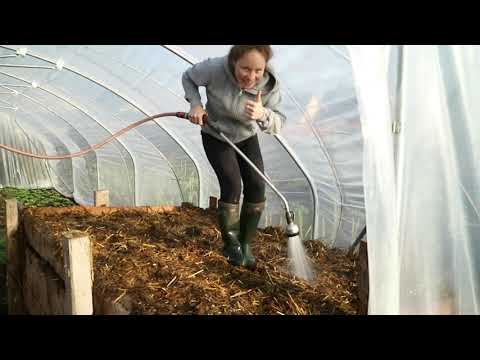 Hotbed heating: Start young plants indoors in spring, with sufficient light and warmth