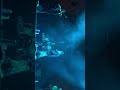 Mashrou’Leila—Tayf (Ghost) Live in Dubai 2019.11.05 Groove on the Grass