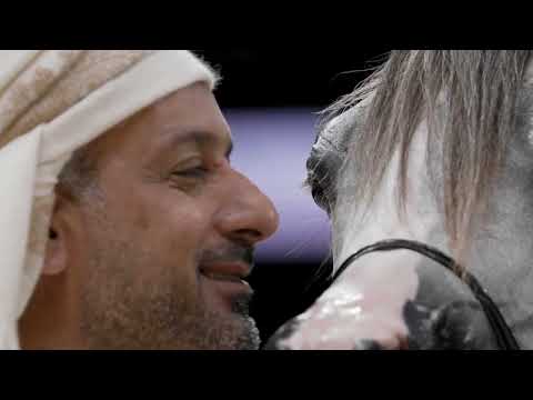 DUBAI STUD ACHIEVEMENTS - GCAT Abu Dhabi 2024