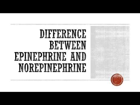 Difference Between Epinephrine and Norepinephrine
