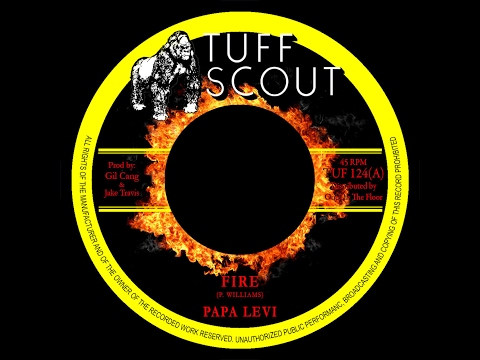 Papa Levi - Fire