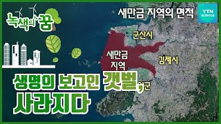 갯벌이 사라진 바다 [녹색의 꿈] / YTN 사이언스