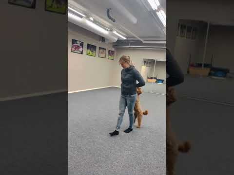 SCM 2022 Helena o Jackie