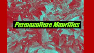 Permaculture à Maurice !