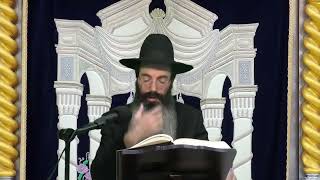 הרב נתנאל אביסרור כח המאמץ של אברהם אבינו פרשת וירא תשפ ו