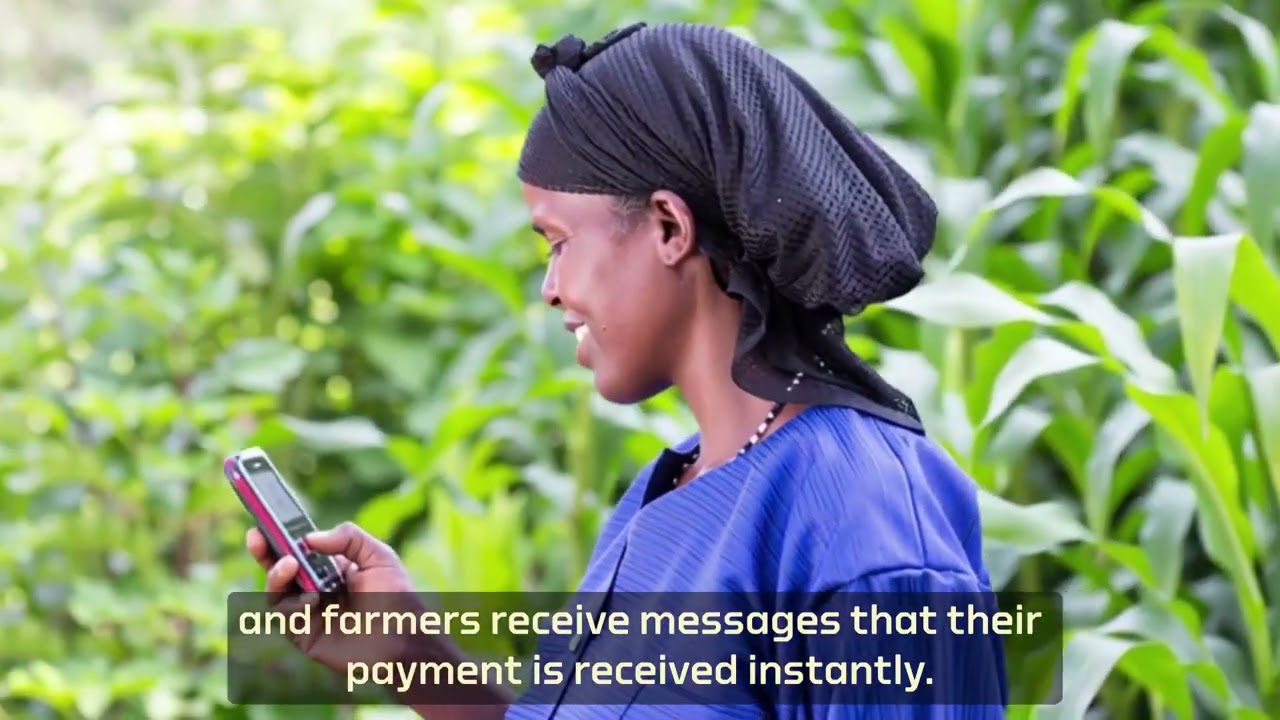 🎥 From #Bean to #Bank | #Ethiopia 🇪🇹 - Better Than Cash Alliance