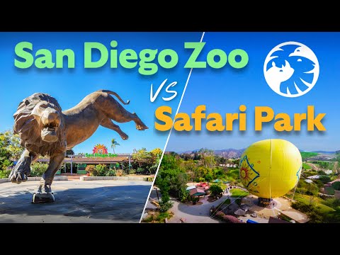 San Diego Zoo vs Safari Park - Which is best for YOU?