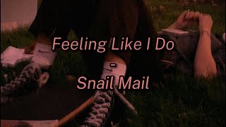 Feeling Like I Do - Snail Mail Cover (Lyrics)