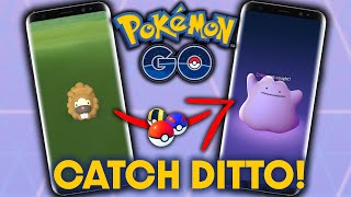 HOW TO CATCH DITTO in POKEMON GO #shorts