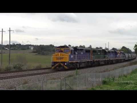 SSR Quad C's - Loaded Wheat - 14th September 2016