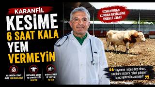 Karanfil Kesime 6 Saat Kala Yem Vermeyin