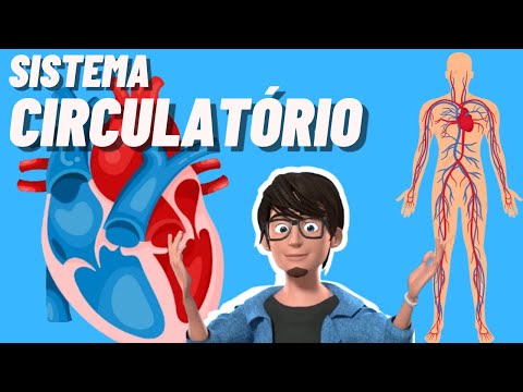 Circulatory or Cardiovascular System | Animation