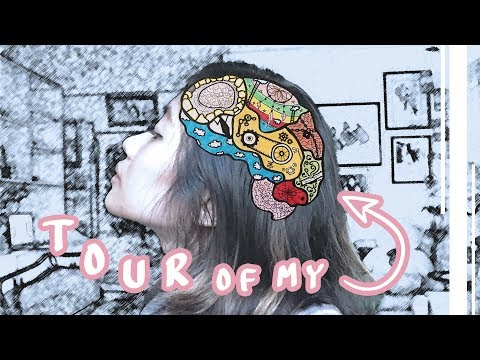 Tour of my Brain