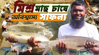 Mixed fish farming in ponds without feed - Ripon's incredible success | Mixed fish farming method...