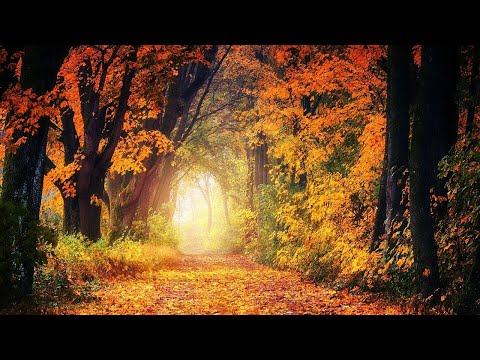 Gerald Finzi - The Fall of the Leaf - Elegy for Orchestra.