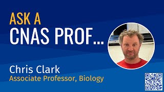 Ask a CNAS Prof: Chris Clark, Associate Professor of Biology