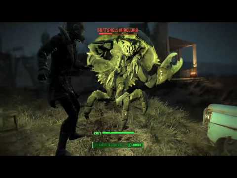 Fallout 4-Traversing the Commonwealth-Corner #1-Costar Cottage-Part 4