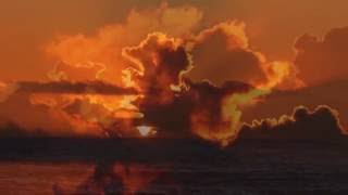 The Monroe Transfer - Joy (HD)