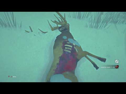 The Long Dark Let's Play - s1e12 Poor Visibility