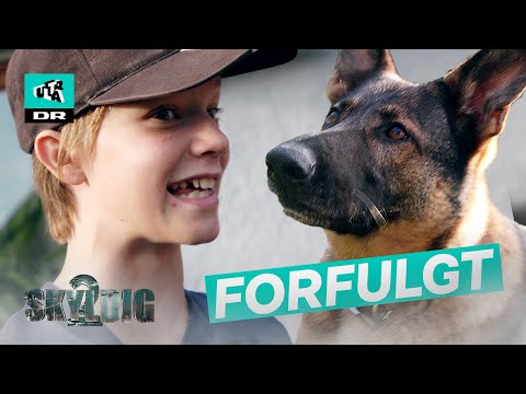 Bange for farlig hund! | Skyldig 2 | Ultra