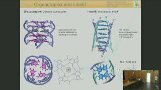 Structure and therapeutic potential of nucleic acids